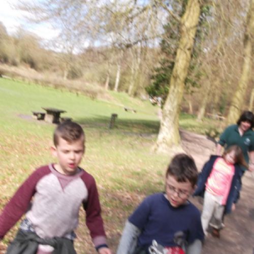 QE Country Park 014